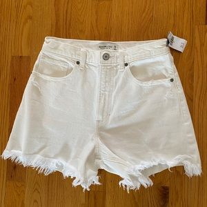 COPY - Abercrombie & Fitch Curve Love Denim Shorts